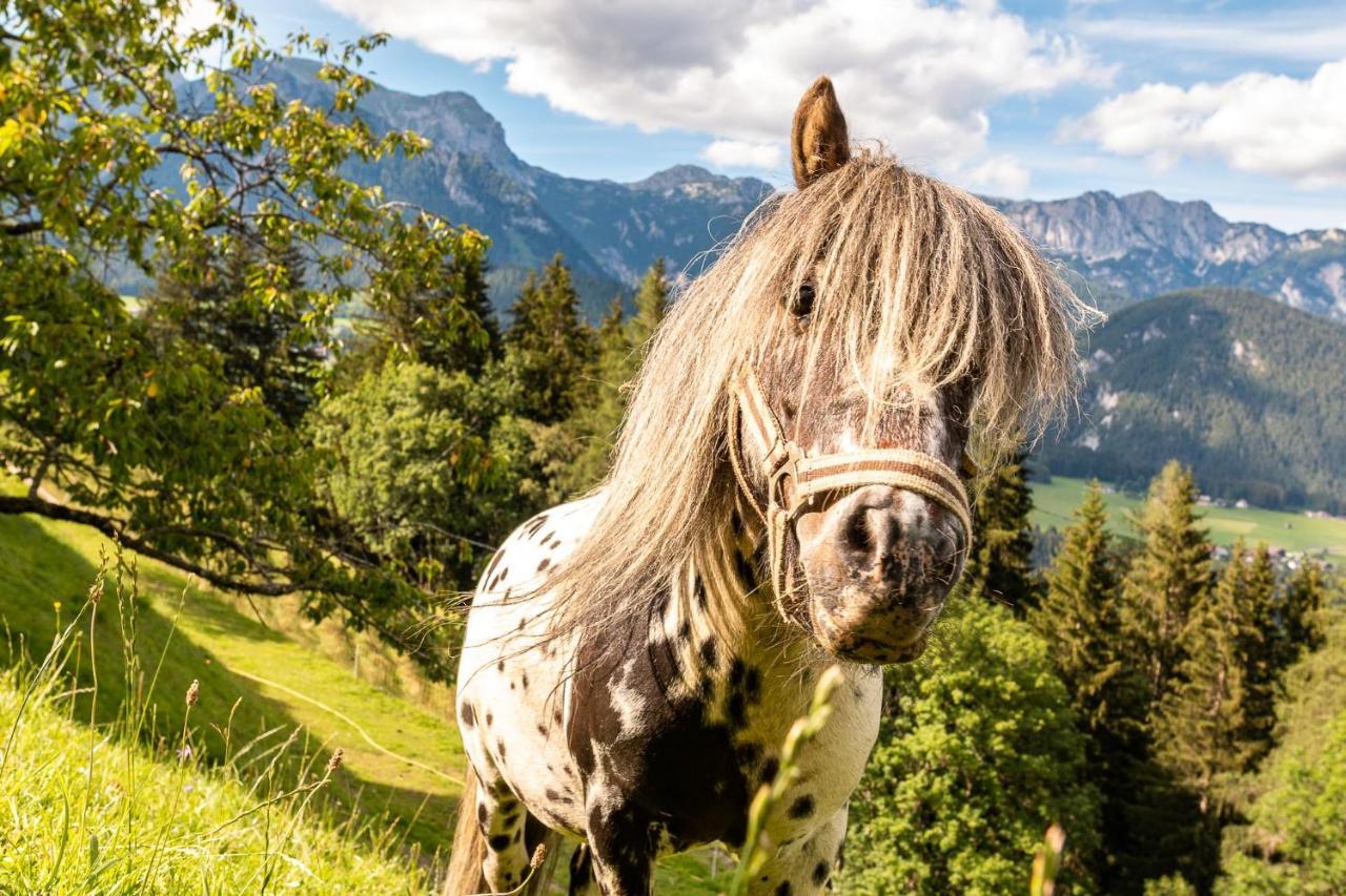 Bucheggerhof Leilighet Schladming Eksteriør bilde