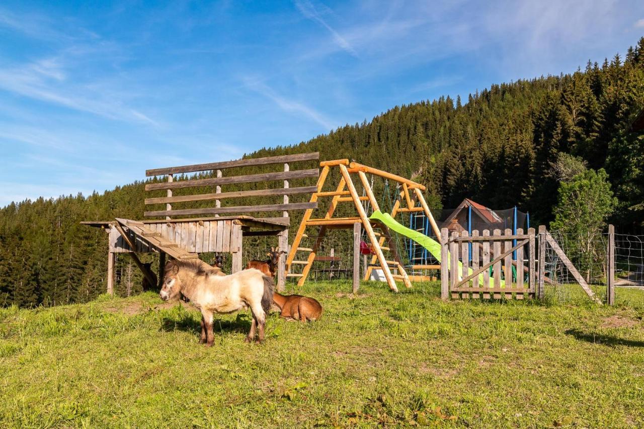 Bucheggerhof Leilighet Schladming Eksteriør bilde